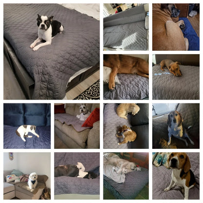 Petssify Double-Sided Waterproof Furniture Protector – Reversible Pet Blanket for Sofa & Couch