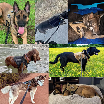 Large Dog Harness & Leash Set | Training Walking Vest | For German Shepherd, Malinois & Large Breeds