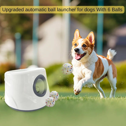 Automatic Pet Ball Throwing Machine | Compact Size | Carries 3 Balls | Outdoor Dog Thrower