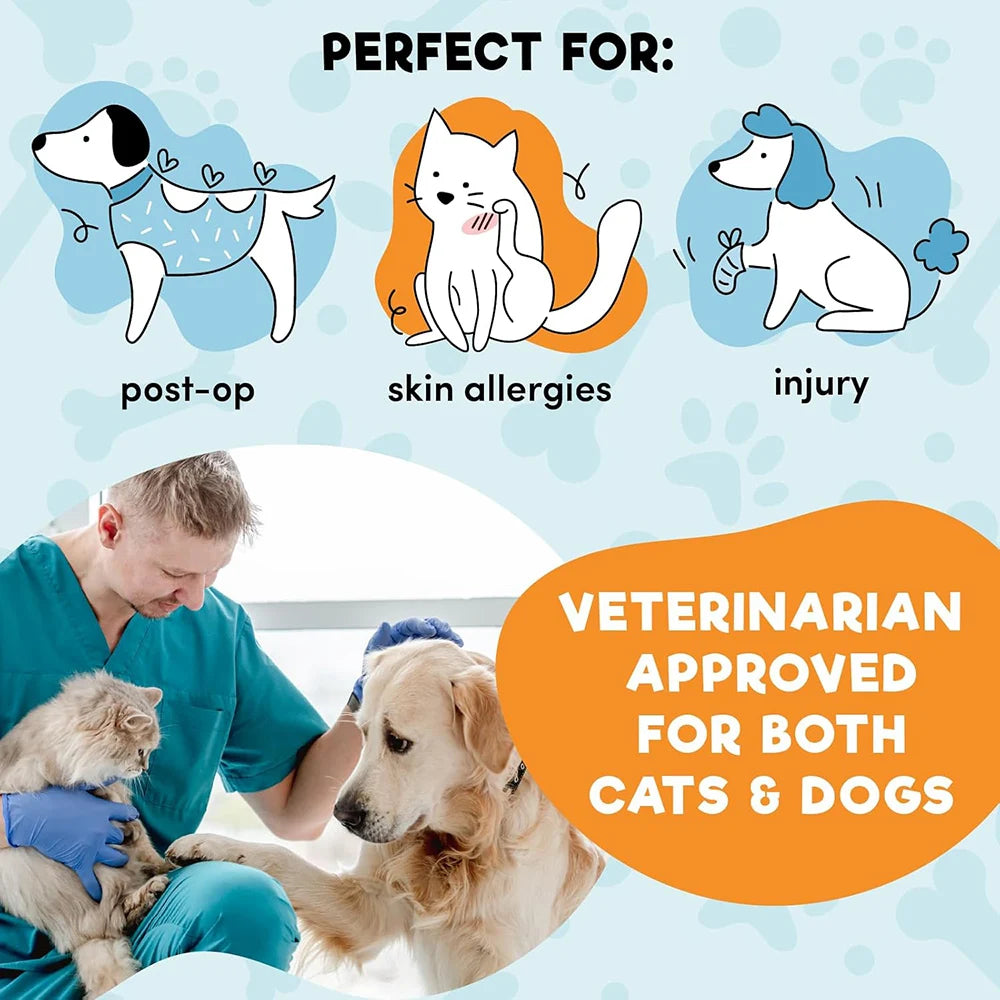 Petssify Inflatable Dog Cone Collar – Soft Recovery Donut for Dogs & Cats