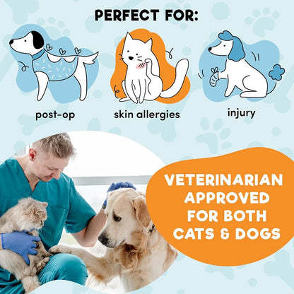 Petssify Inflatable Dog Cone Collar – Soft Recovery Donut for Dogs & Cats