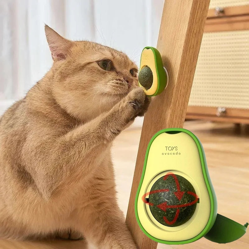 Natural Catnip Wall-Mounted Ball Toy for Cats – Teeth Cleaning & Interactive Treat Toy