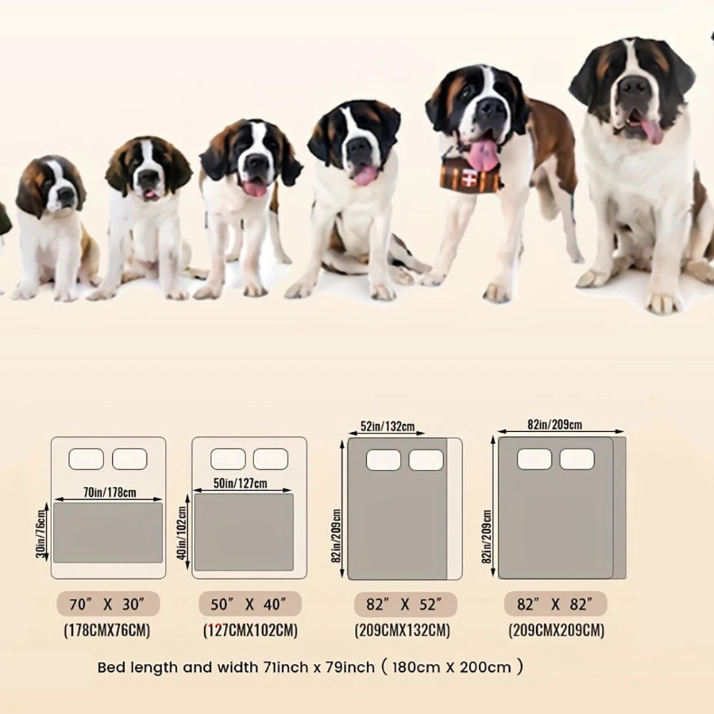 Petssify Double-Sided Waterproof Furniture Protector – Reversible Pet Blanket for Sofa & Couch