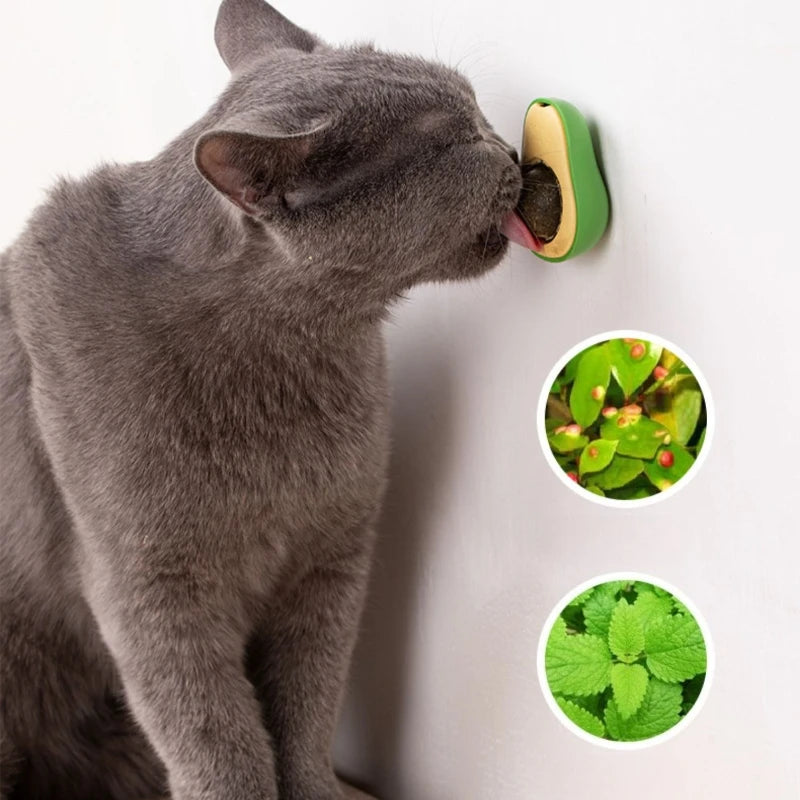 Natural Catnip Wall-Mounted Ball Toy for Cats – Teeth Cleaning & Interactive Treat Toy