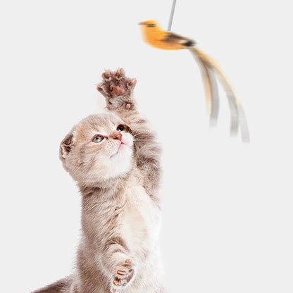 Petssify Simulated Bird Cat Toy – Suction Cup Feather Teaser with Steel Wire Rod