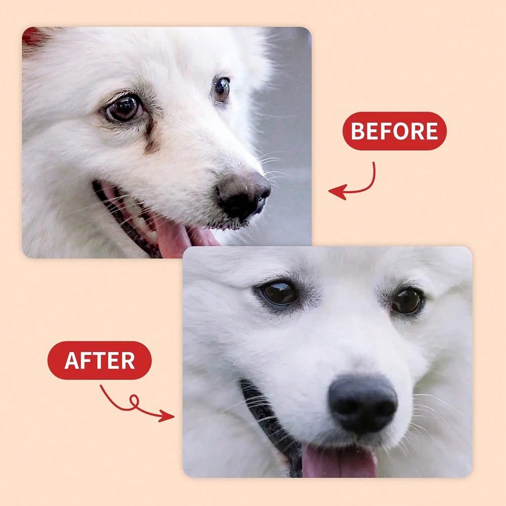 Petssify Tear Stain Cleaner – Gentle Formula for Dogs & Cats with Brush