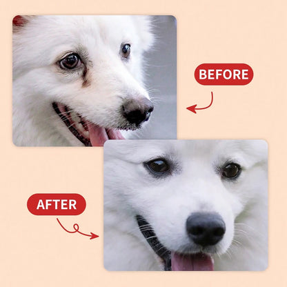 Petssify Tear Stain Cleaner – Gentle Formula for Dogs & Cats with Brush
