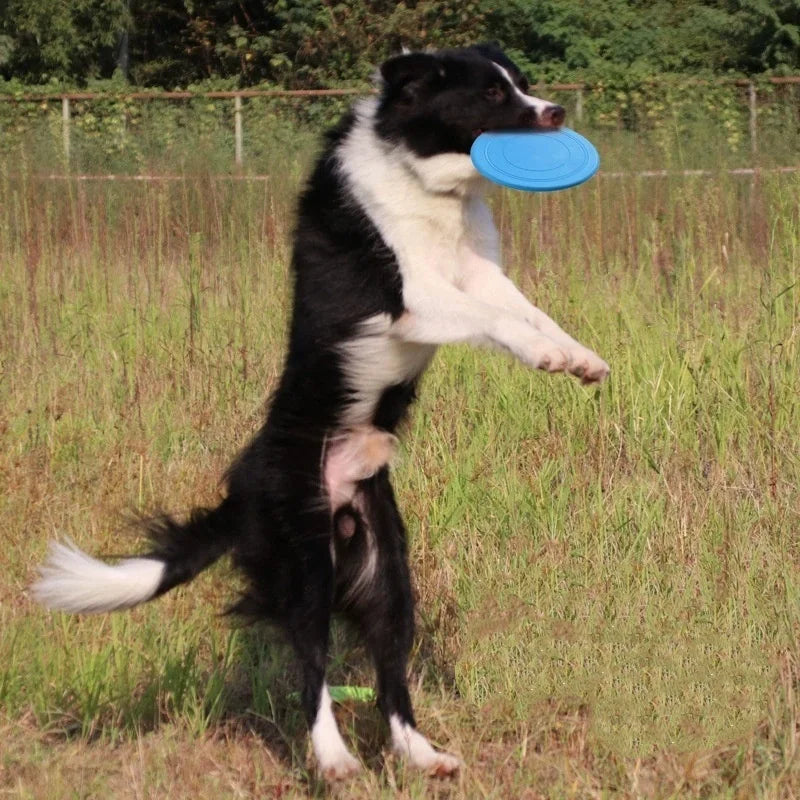 Silicone Flying Saucer Funny Dog Cat Toy Dog Game Flying Discs Resistant Chew Puppy Training Interactive Pet Supplies