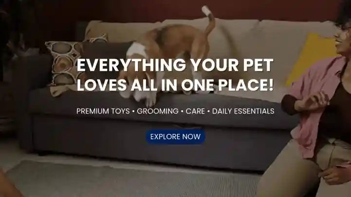 Everything_Your_Pet_Loves_Banner